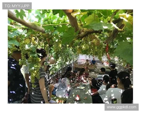 cc球坊娱乐在线助你轻松赢取丰厚奖励,体验刺激的线上竞技和娱乐互动 cc球坊娱乐在线助你轻松赢取丰厚奖励,体验刺激的线上竞技和娱乐互动