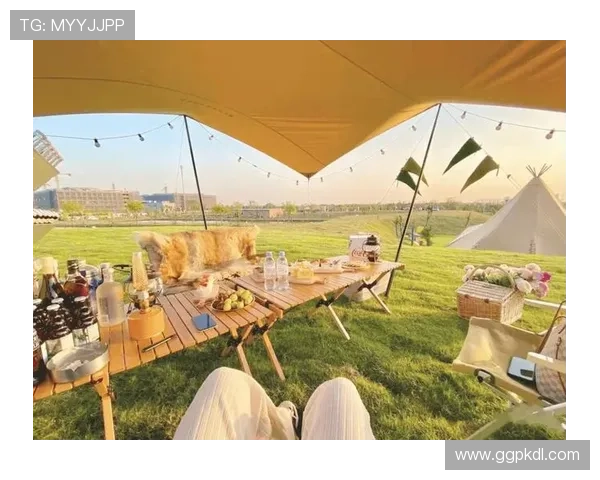 嘉年华国际娱乐让你在轻松愉快的氛围中享受极致娱乐体验 嘉年华国际娱乐让你在轻松愉快的氛围中享受极致娱乐体验